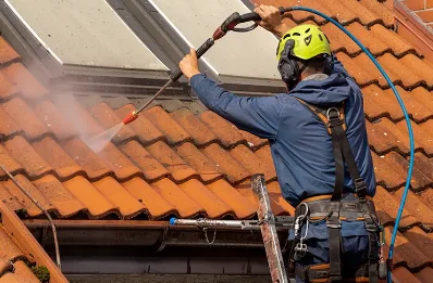 Démoussage et hydrofuge de toiture à Sainte-Ramée